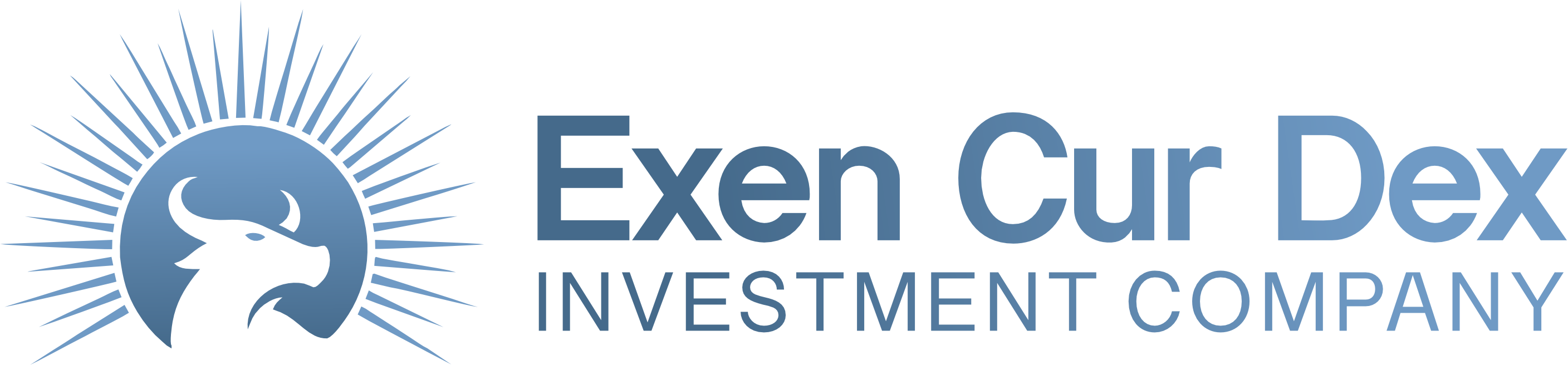 exen-cur-dex.com
